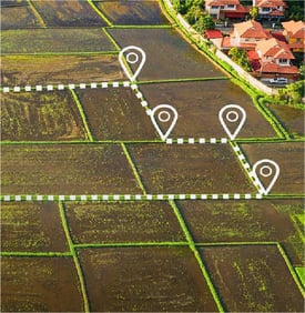 Land Governance